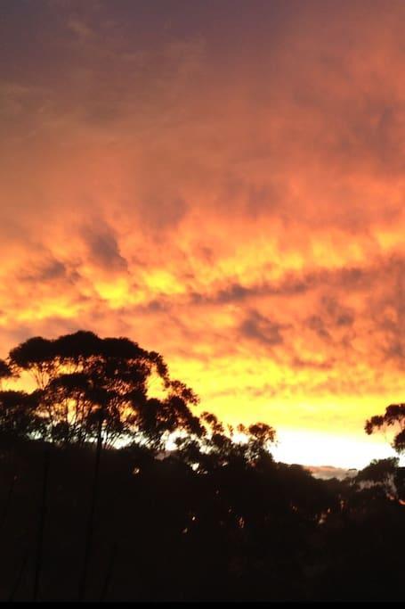 Avoca Beach And Bush Экстерьер фото