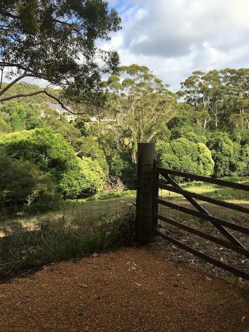 Avoca Beach And Bush Экстерьер фото